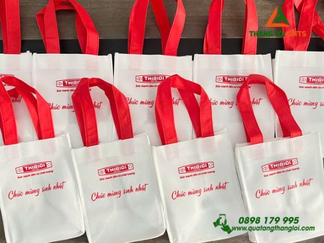 Túi vải không dệt TV-02