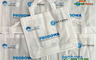 Túi Canvas hay túi không dệt in logo: Loại nào tiết kiệm?
